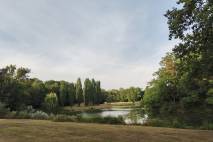 Blick auf den Weiher