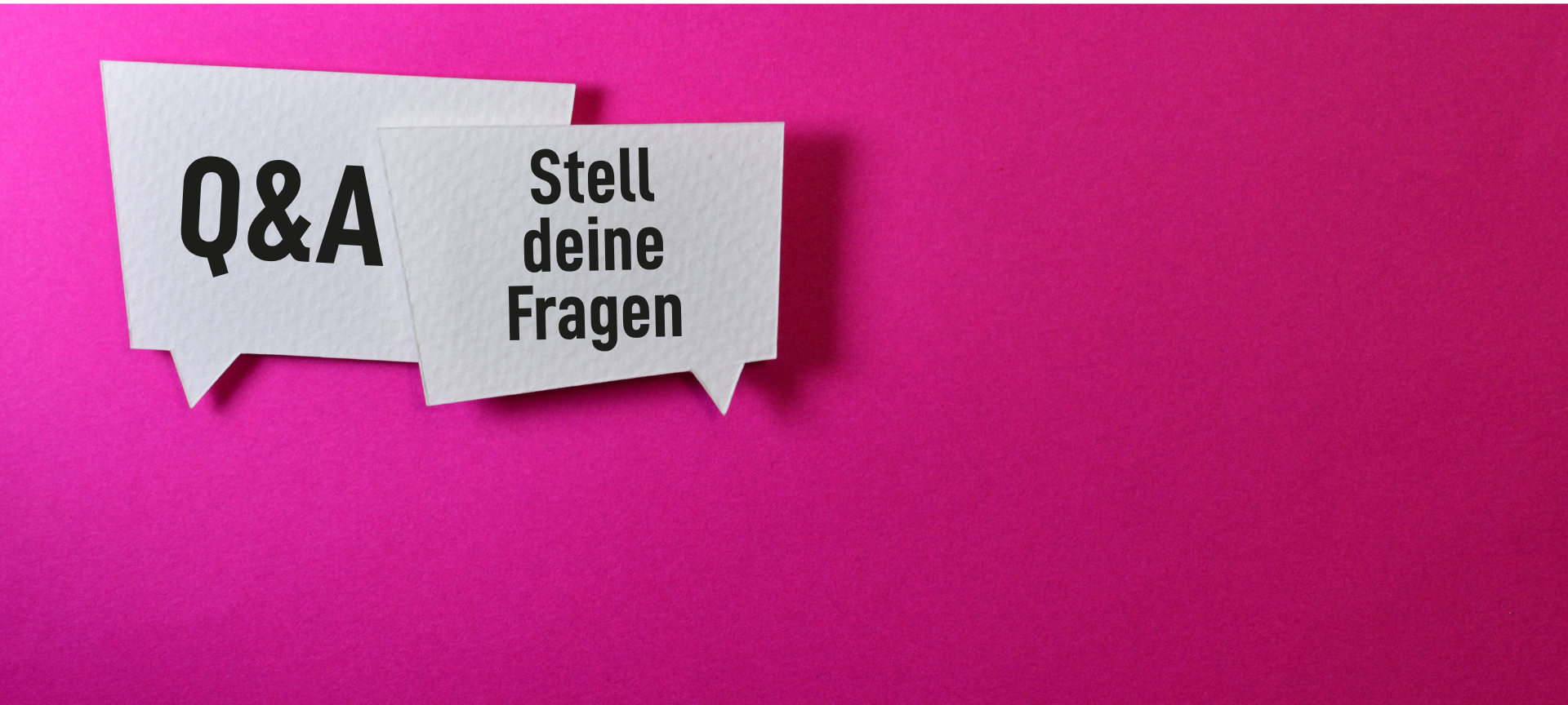 Q&amp;A Zum Mentoring Programm. Stell deine Fragen.